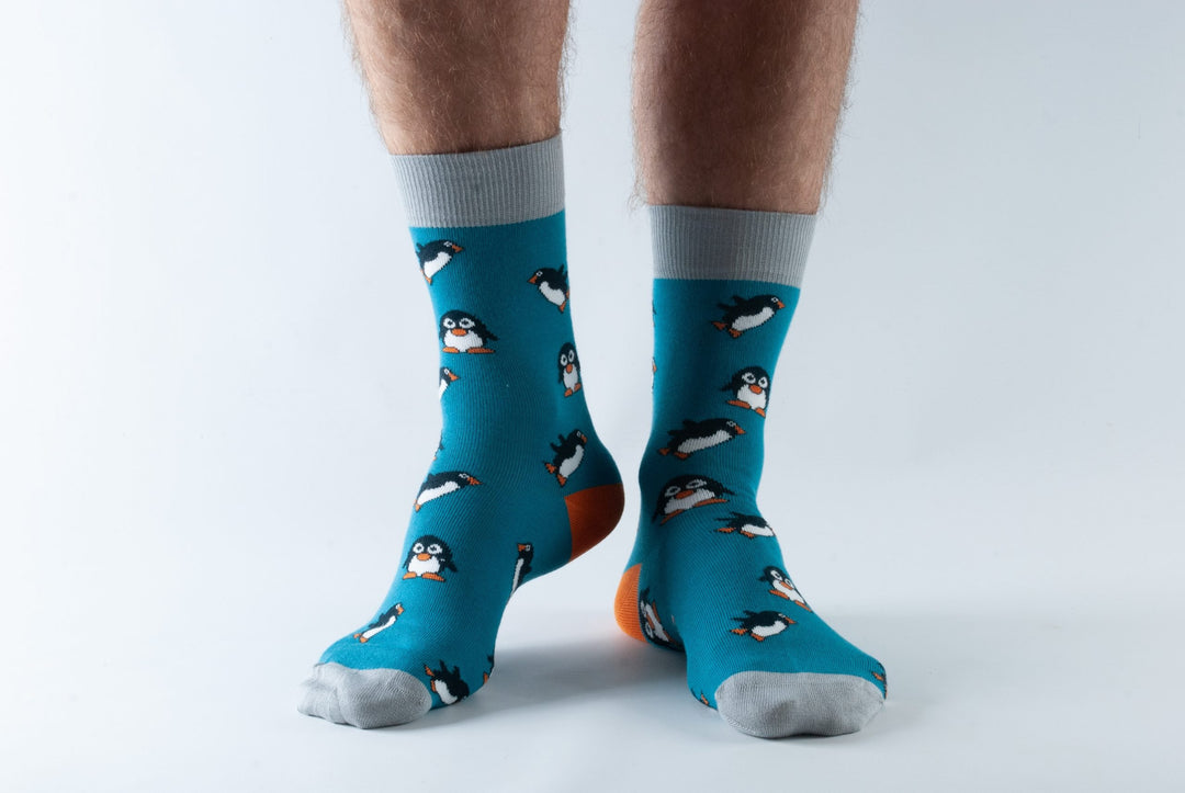 Doris & Dude Socks - Teal Penguin