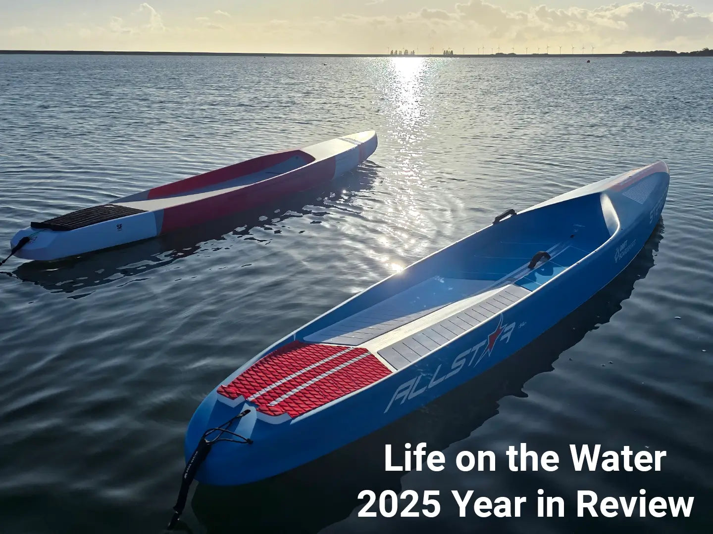 2025 Year in Review