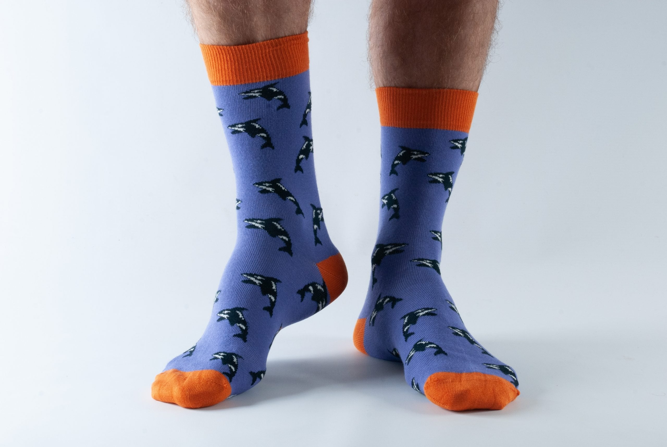 Doris & Dude Men's Socks men's socks purple orca
