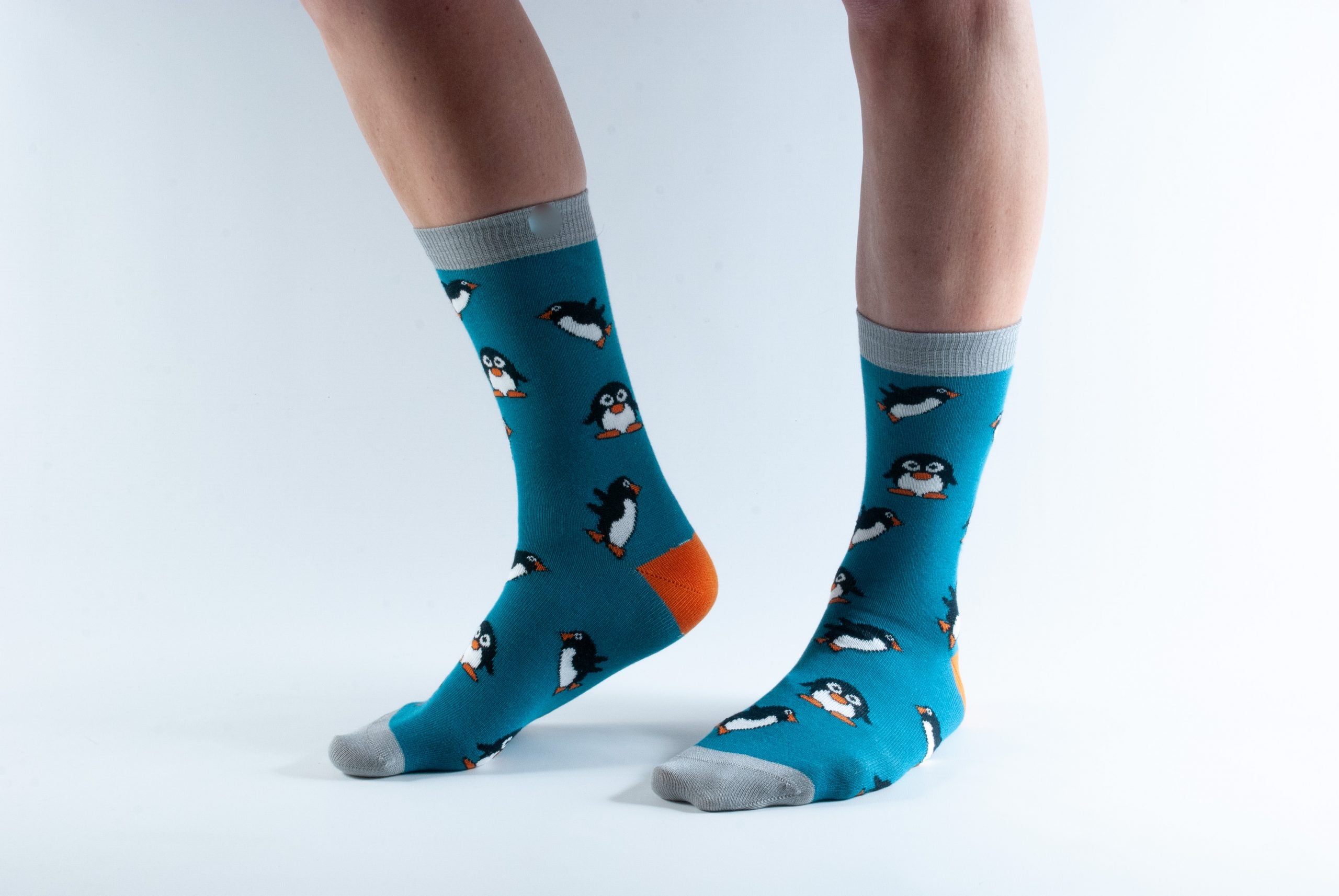 Doris & Dude Socks - Teal Penguin