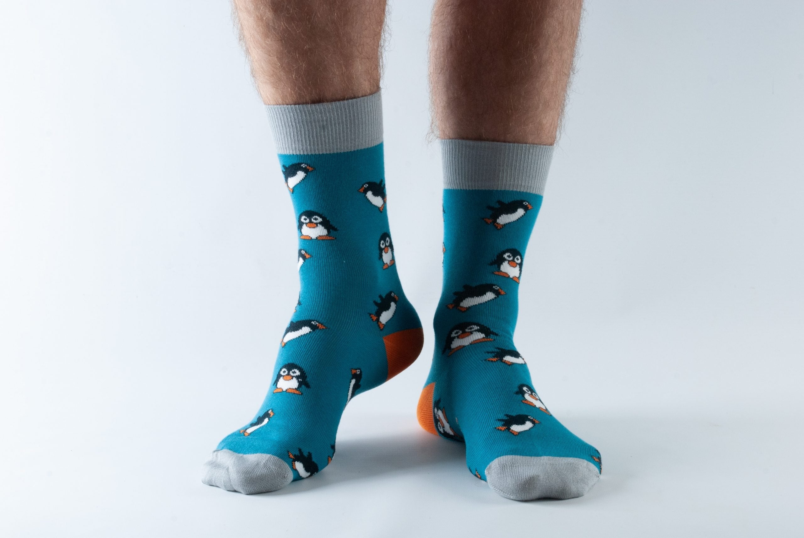 Doris & Dude Socks - Teal Penguin
