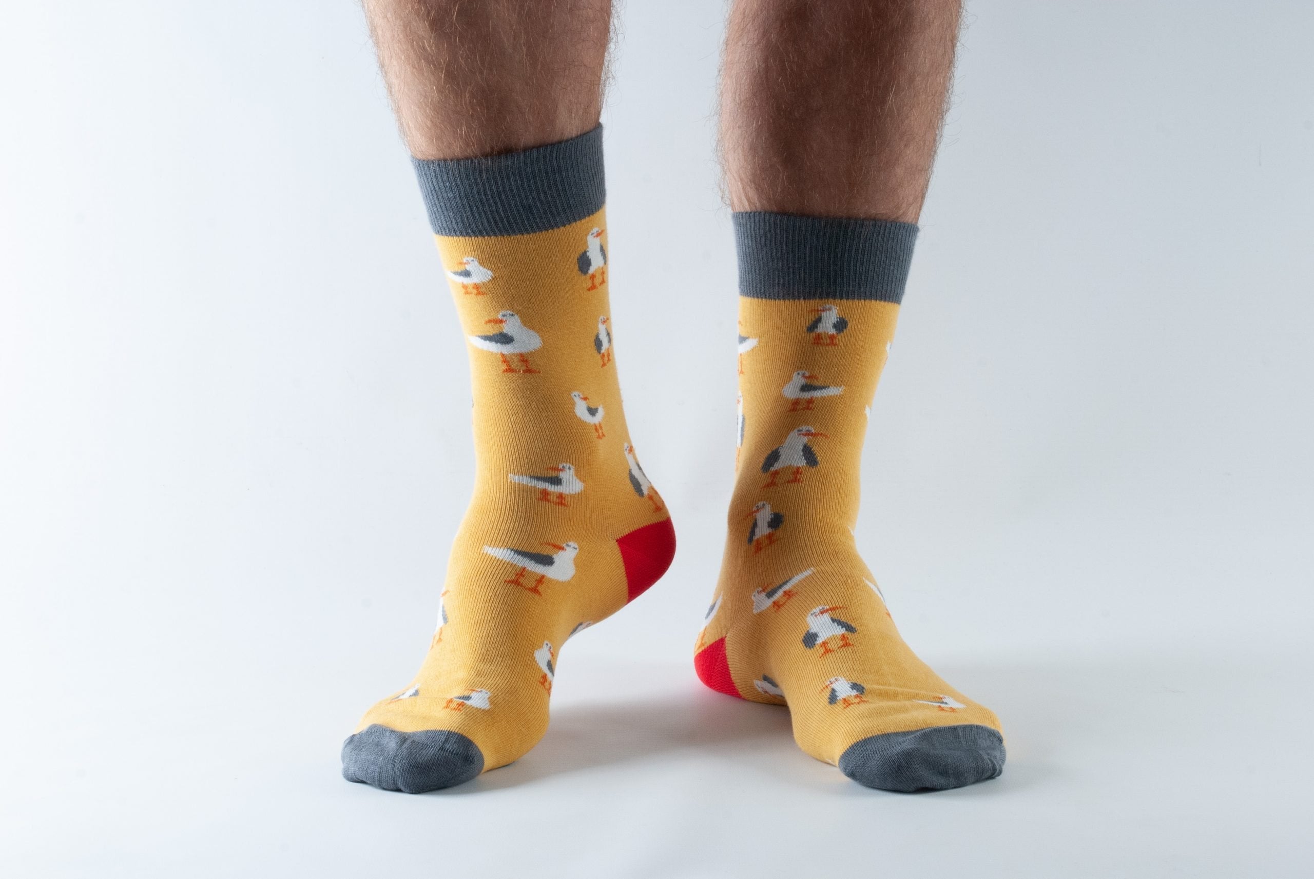 Doris & Dude men's socks- Gold Seagull
