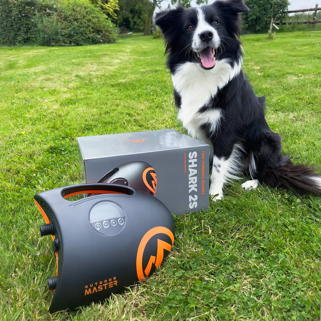 Dog sitting on grass next to a 'Shark 2S' product packaging - Dog approved.